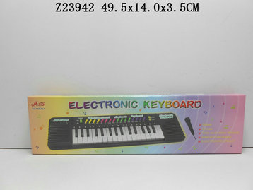 Electronic organ &Mic