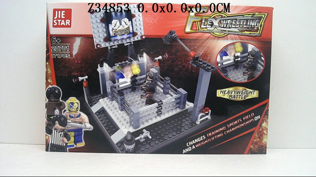 Blocks171P