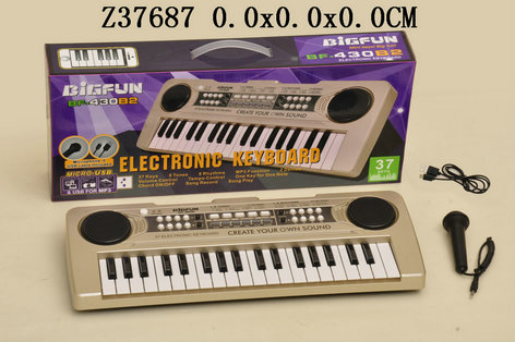 37Key electronic organ